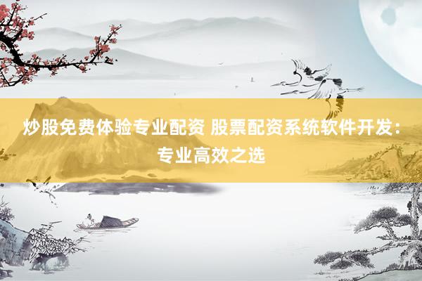 炒股免费体验专业配资 股票配资系统软件开发：专业高效之选