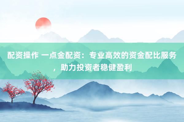 配资操作 一点金配资：专业高效的资金配比服务，助力投资者稳健盈利