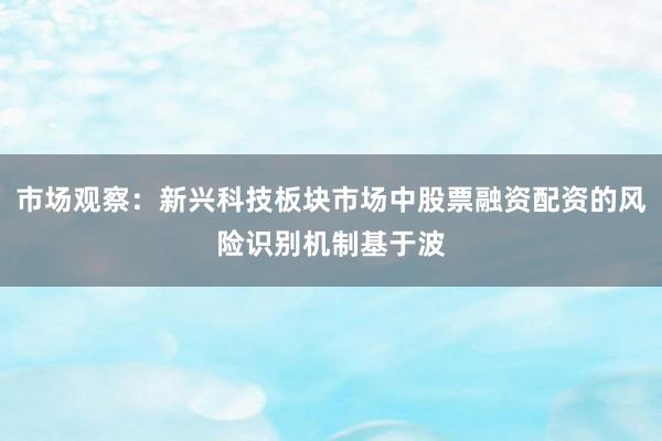 市场观察：新兴科技板块市场中股票融资配资的风险识别机制基于波