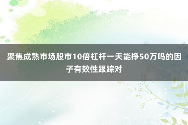 聚焦成熟市场股市10倍杠杆一天能挣50万吗的因子有效性跟踪对