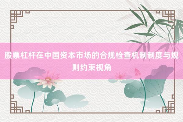 股票杠杆在中国资本市场的合规检查机制制度与规则约束视角