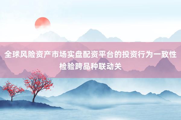全球风险资产市场实盘配资平台的投资行为一致性检验跨品种联动关